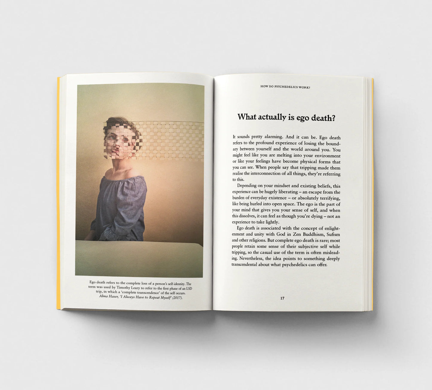 Physchedelics, A Pocket Primer