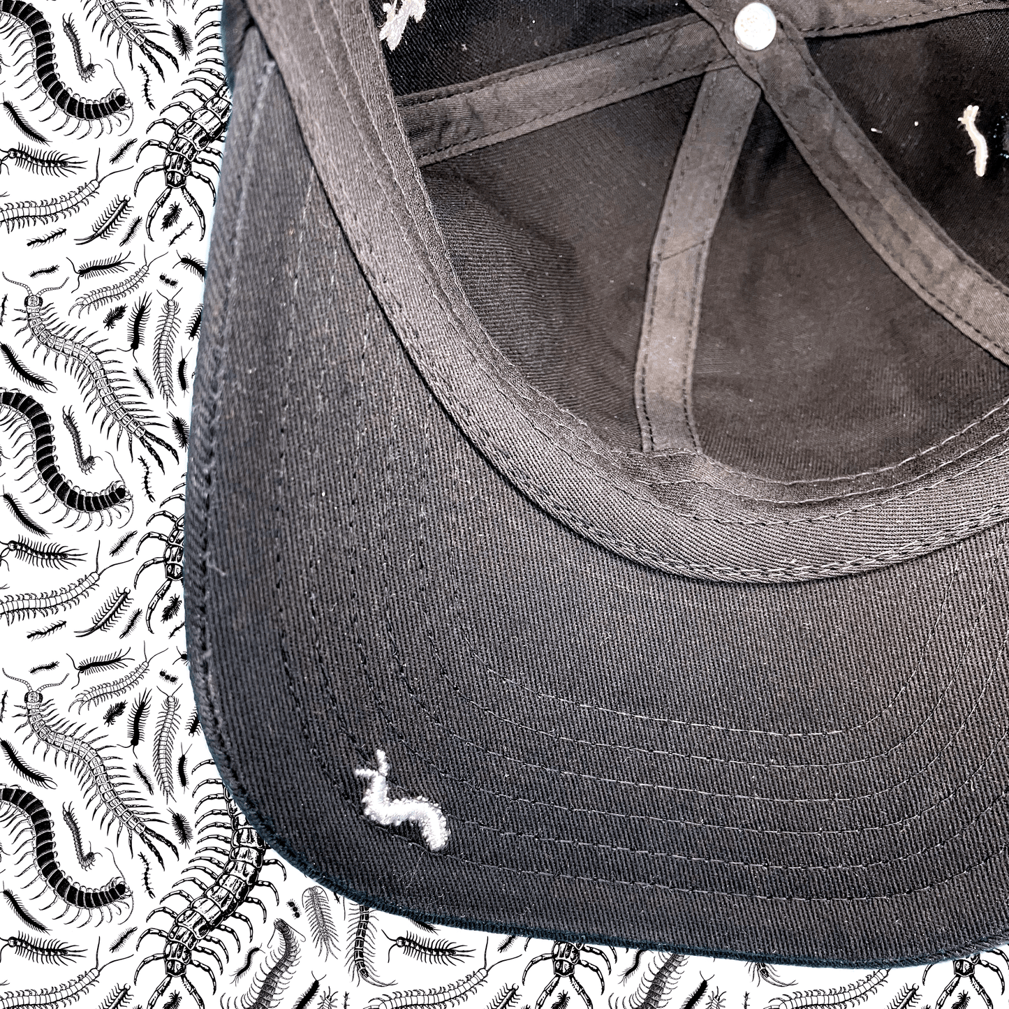 67 Centipedes Dad Hat- Black/White