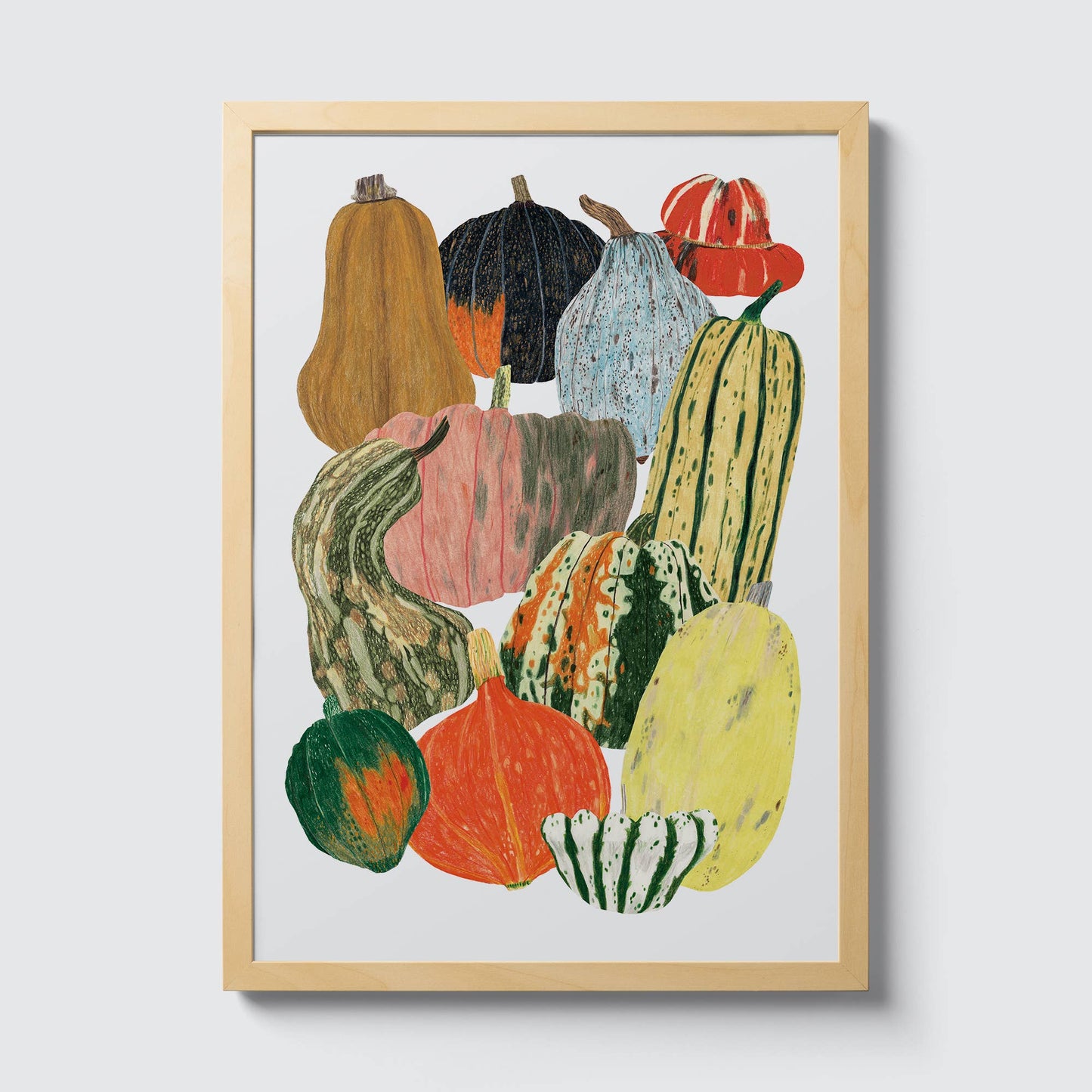 Pumpkin Squash A3 Print