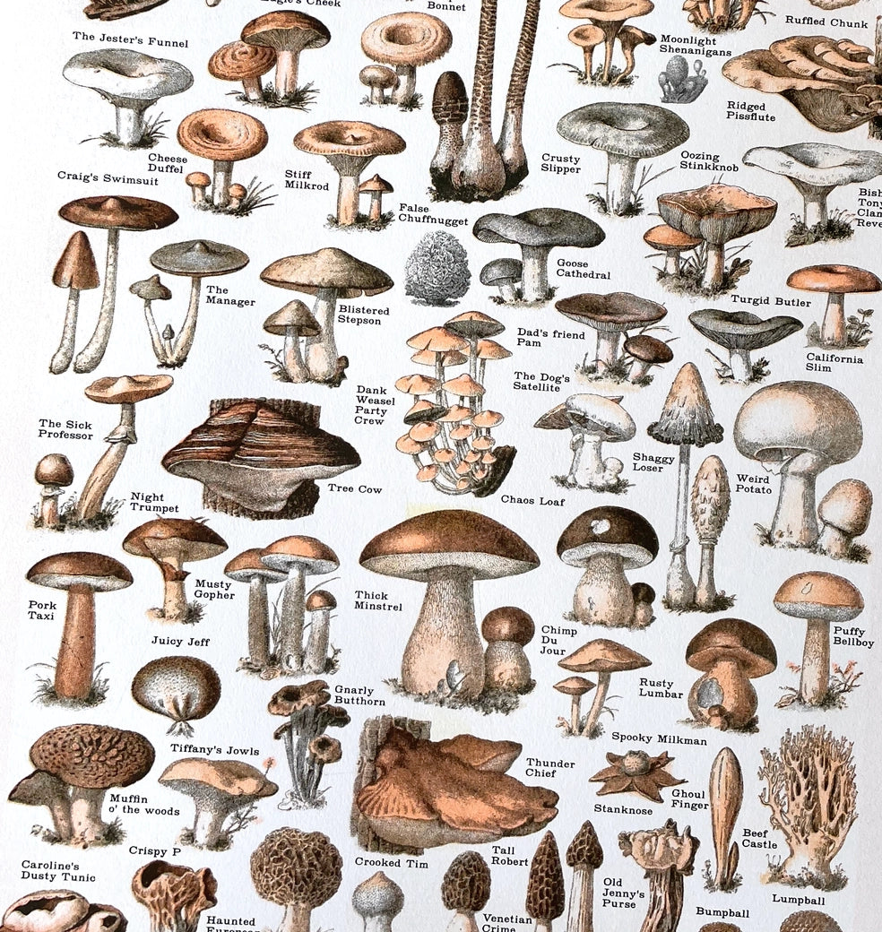 Common Mushrooms Risograph Print