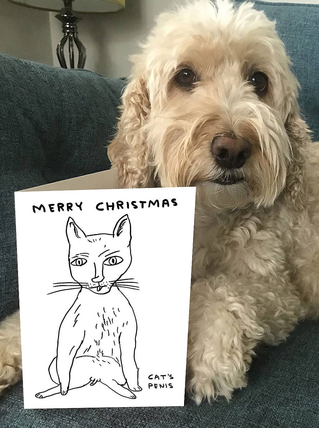 Cat's Penis Christmas Card