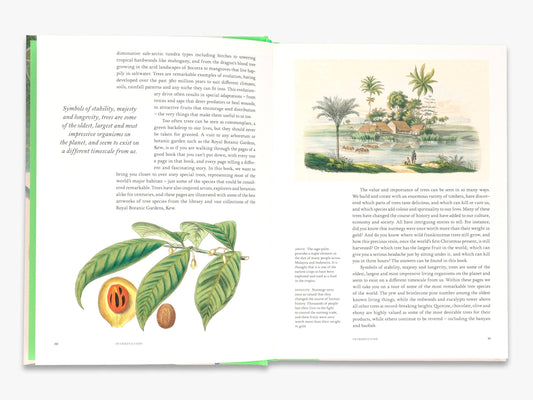 Remarkable Trees