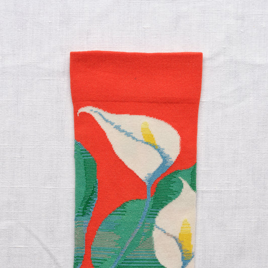 Vermilion Aromas Socks