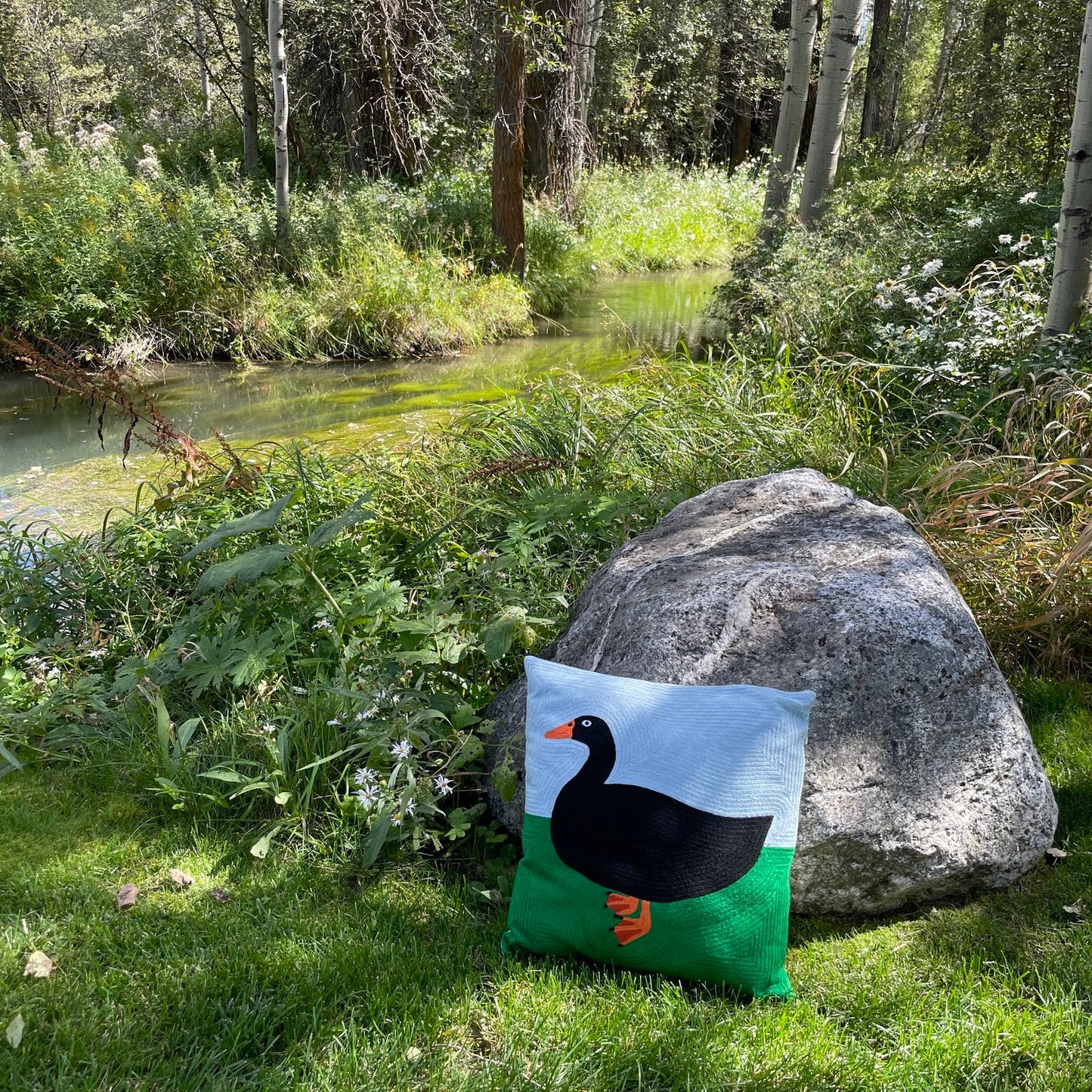 Black Duck at the Park Cushion Cover