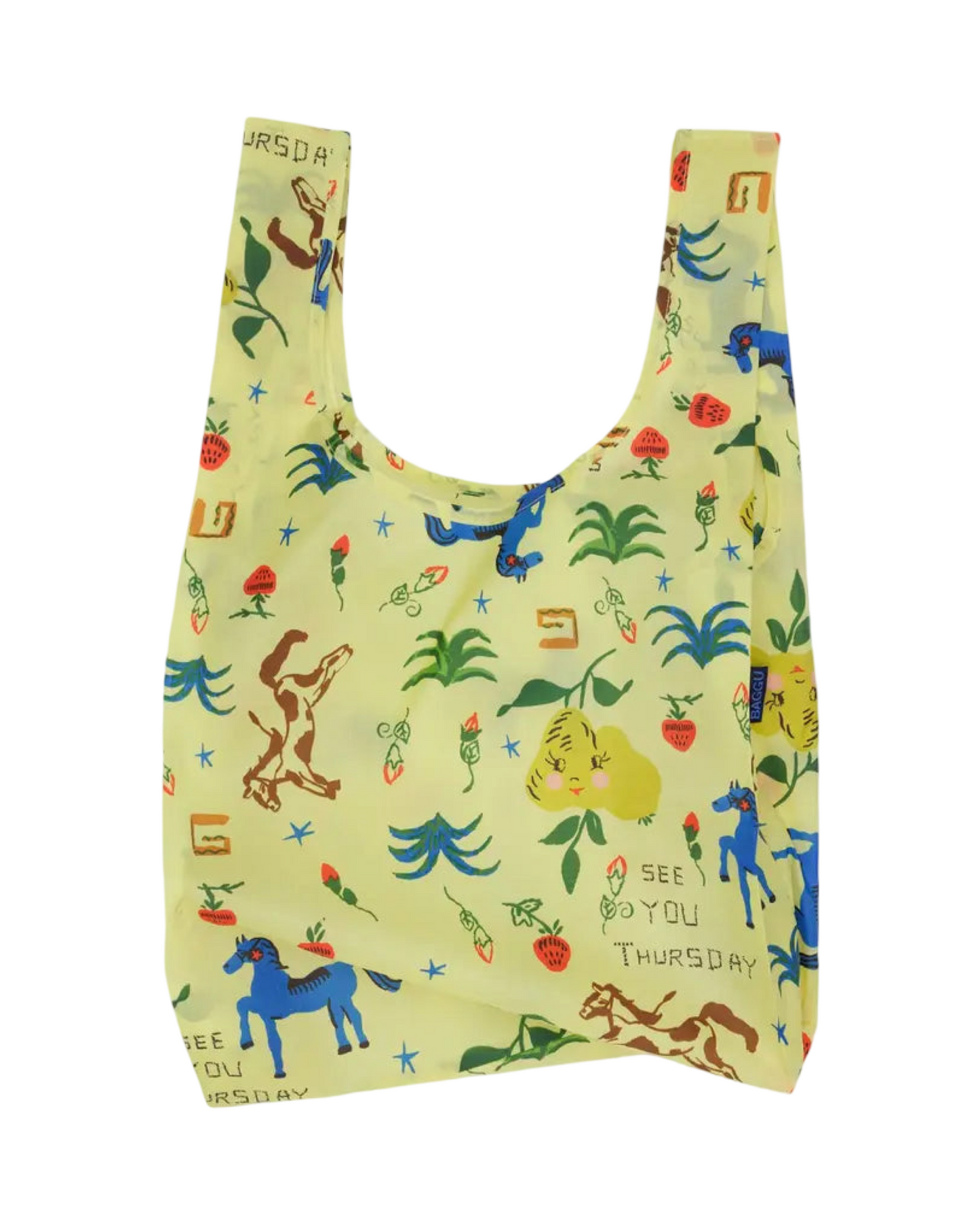 Standard Baggu : Painted Prairie