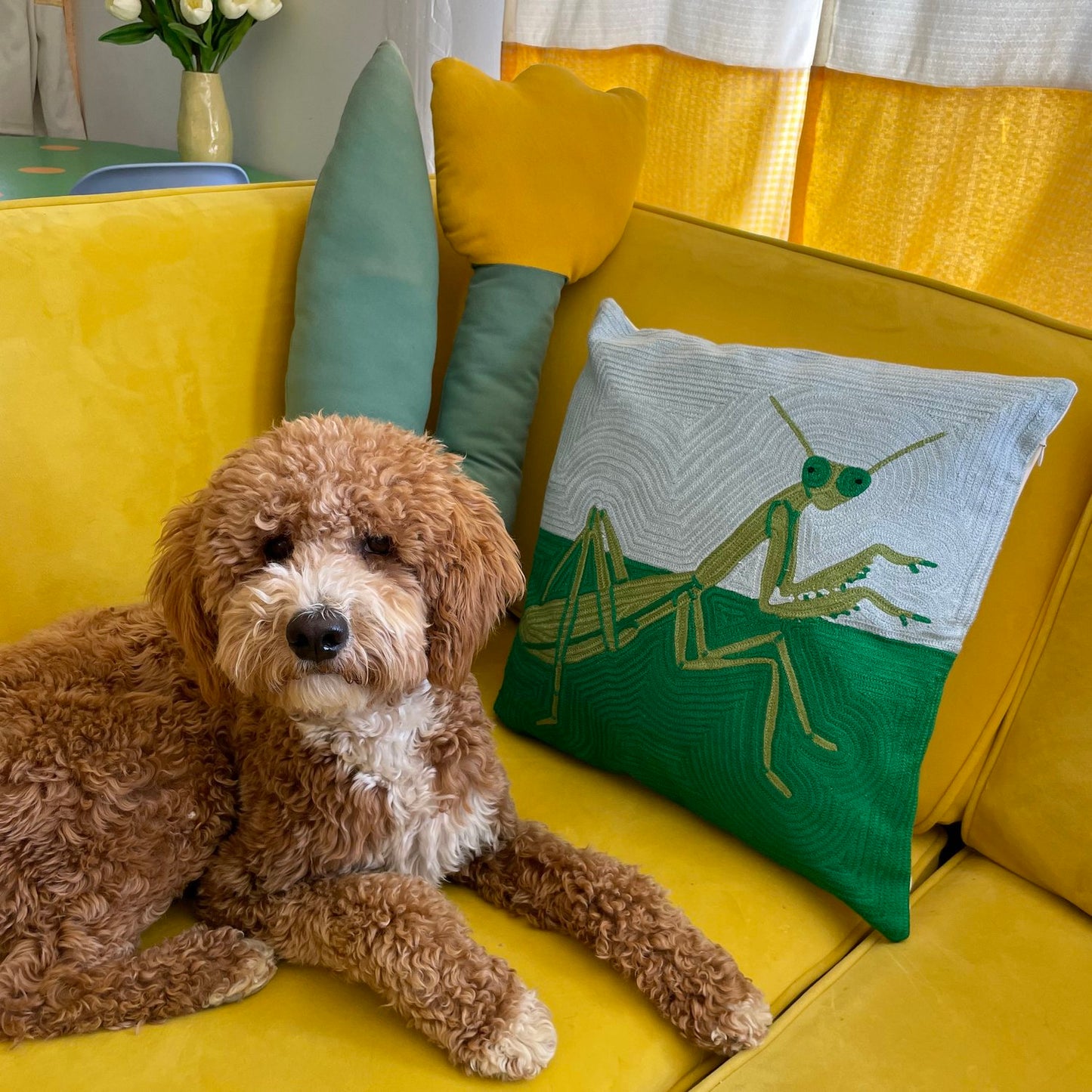 Praying Mantis at the Park Cushion Cover