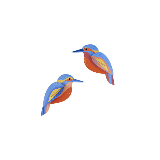 Studio Roof Kingfishers