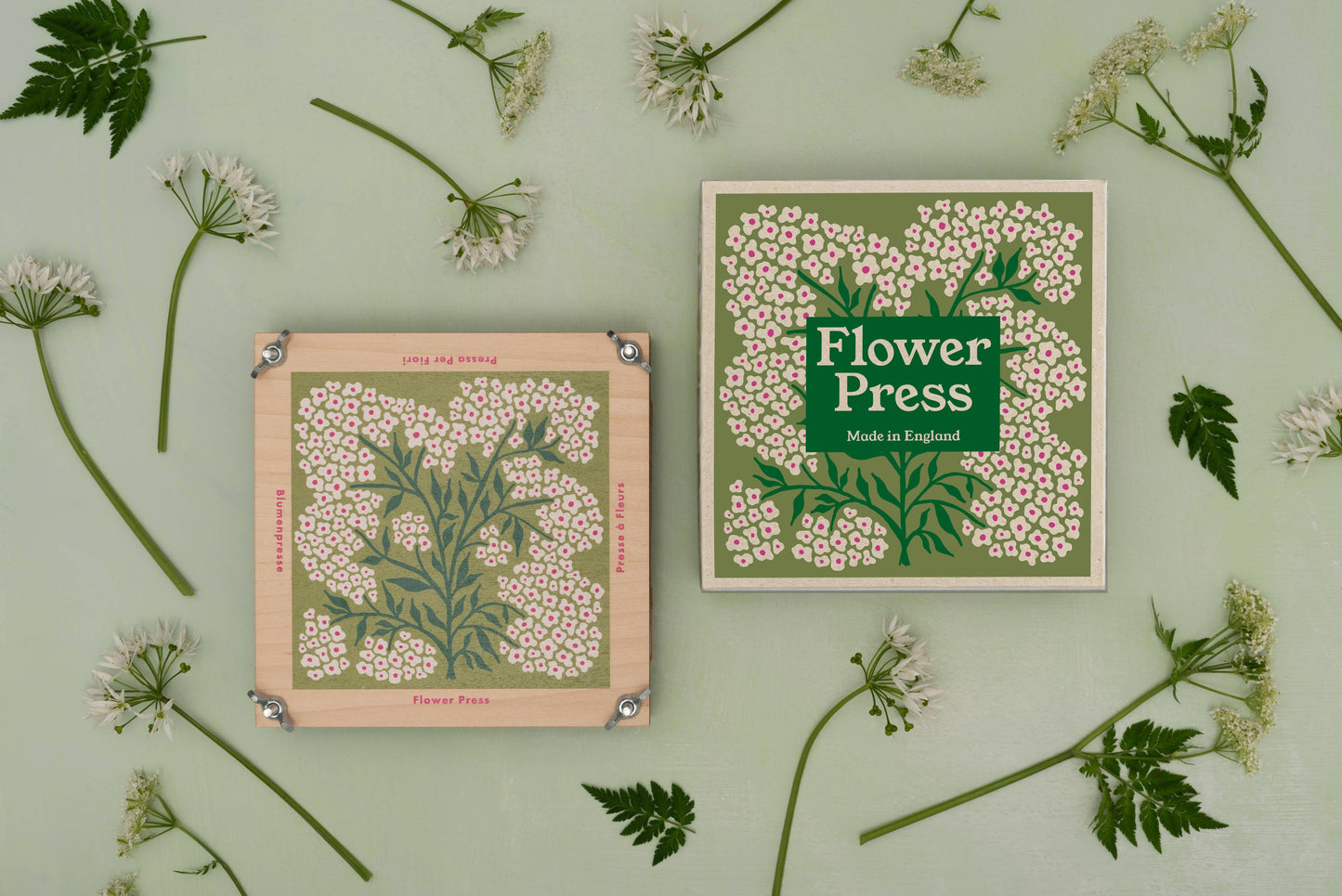 Flower Press / Forget Me Not
