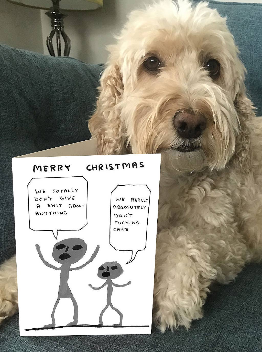 Don't Give a Shit Christmas Card