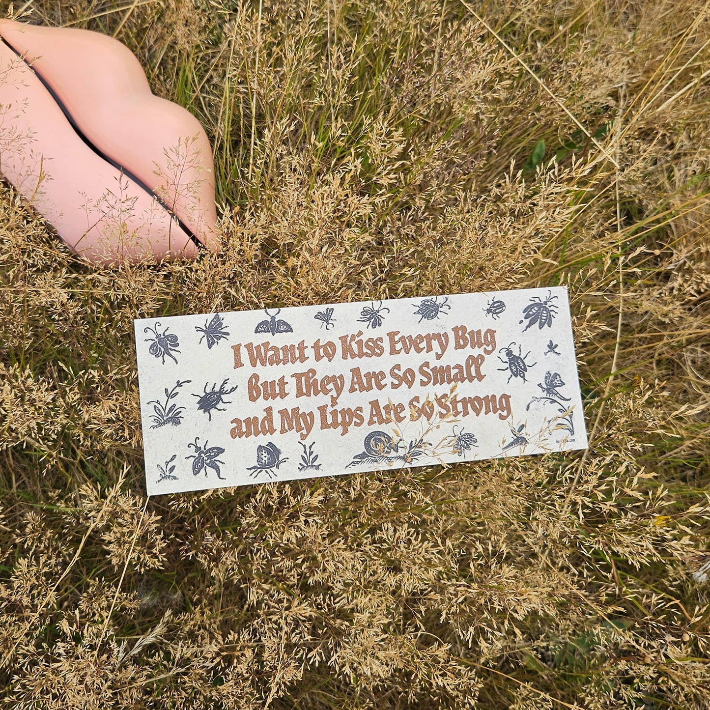 Bumper Sticker – I Want To Kiss Every Bug: