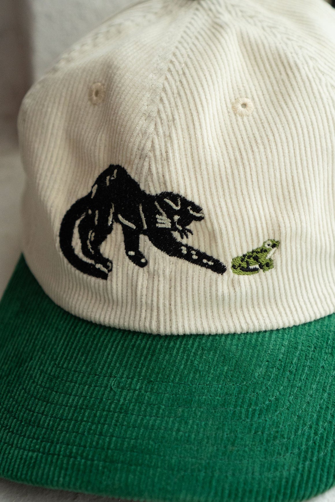 Frenemies (Cat & Frog) Corduroy Dad Hat