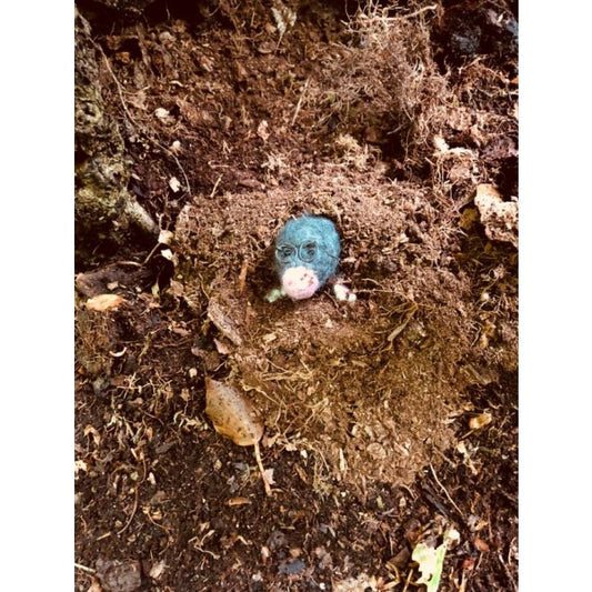 Mole with Specs Felt Decoration