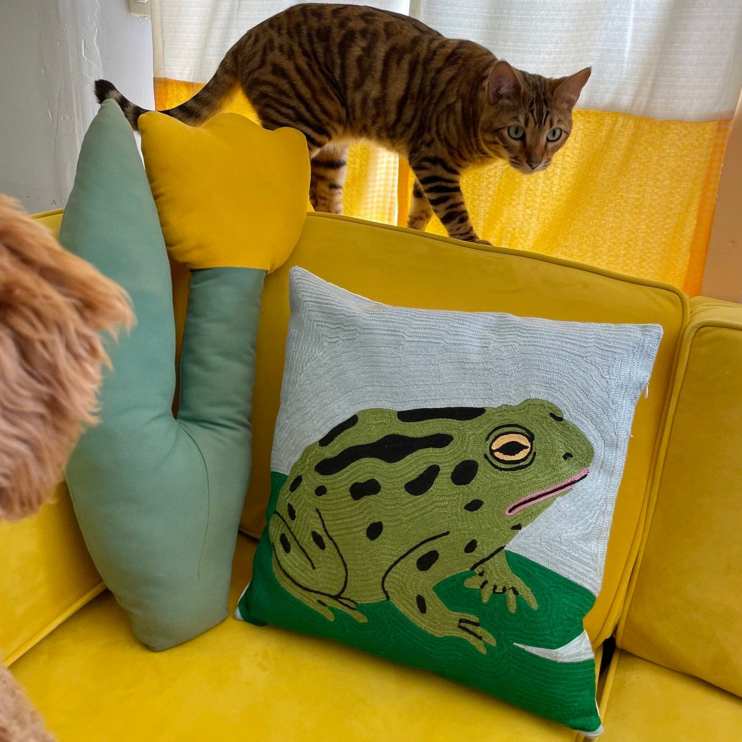 Toad at the Pond Cushion Cover