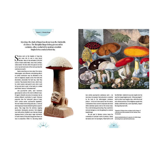 The Psychedelic Garden