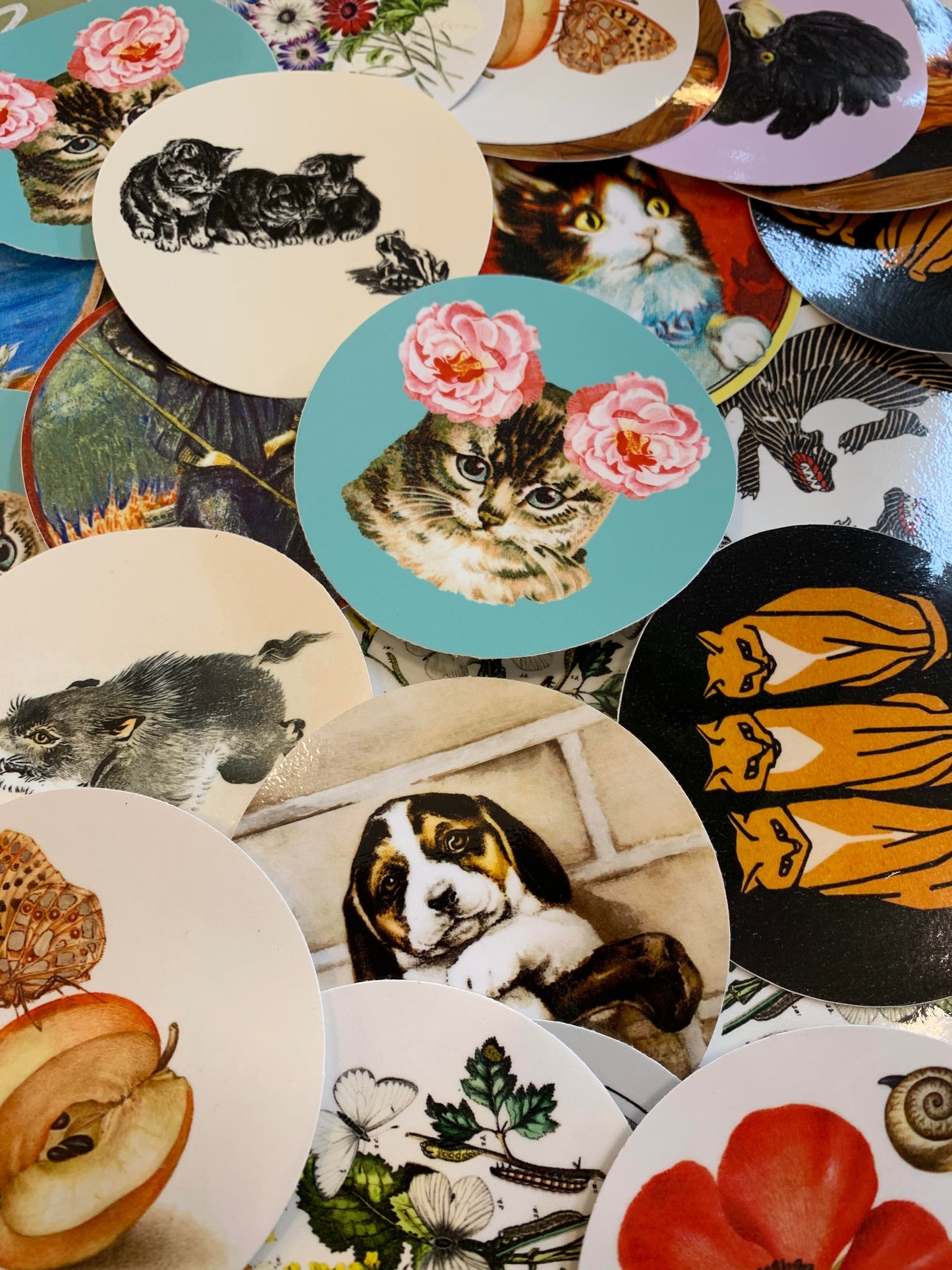 Mystery Sticker Pack!