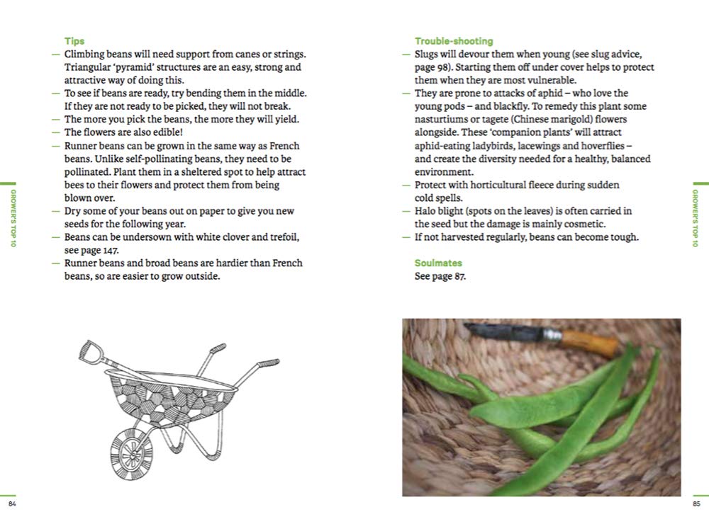 Do Grow: Start with 10 Simple Vegetables