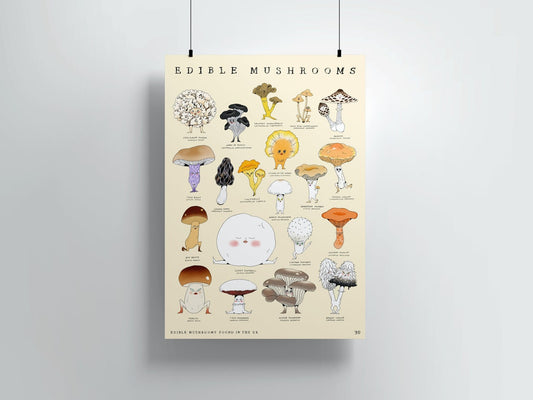 Edible Mushrooms A3 Print