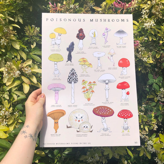 Poisonous Mushrooms A3 Print