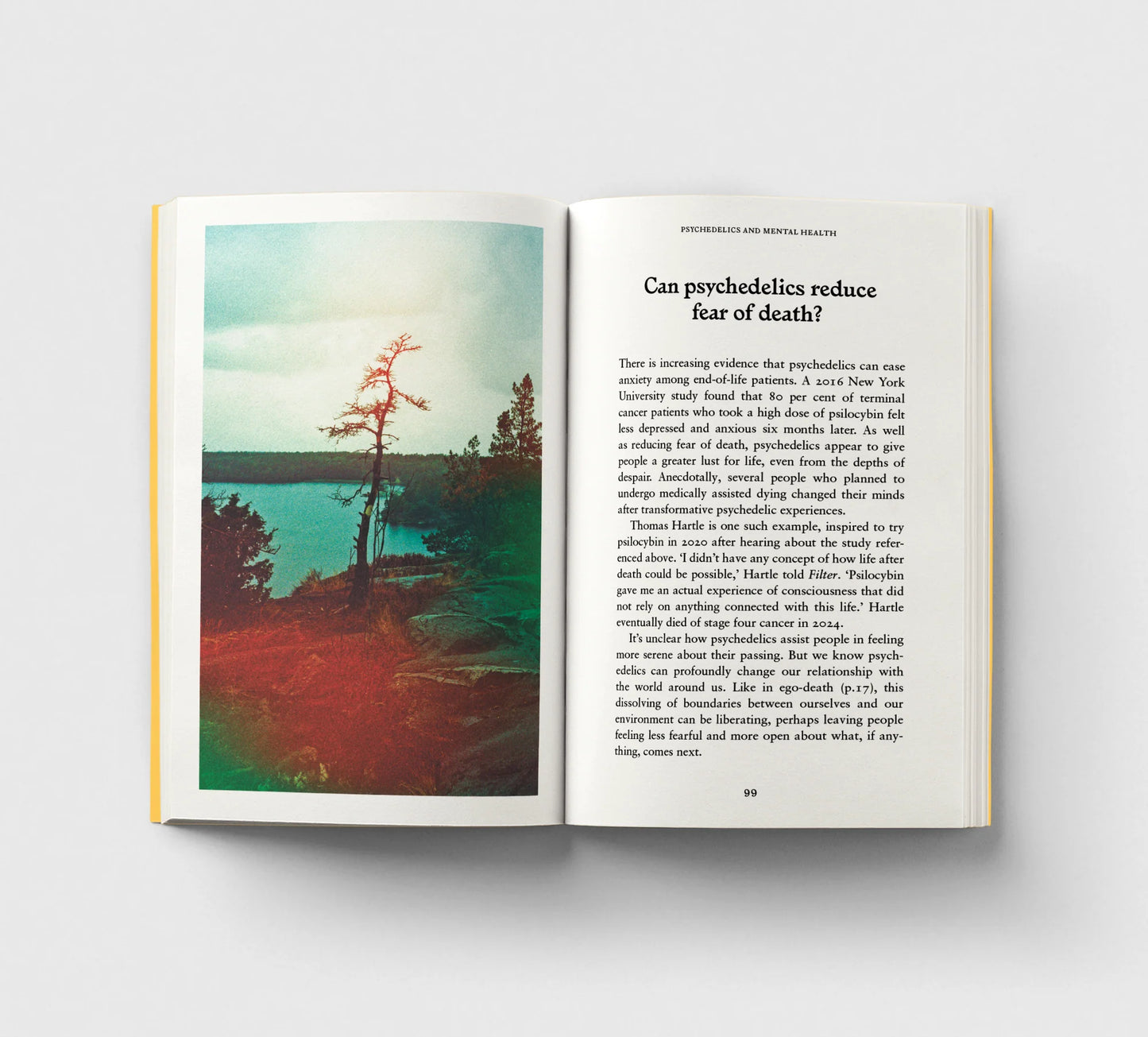 Physchedelics, A Pocket Primer