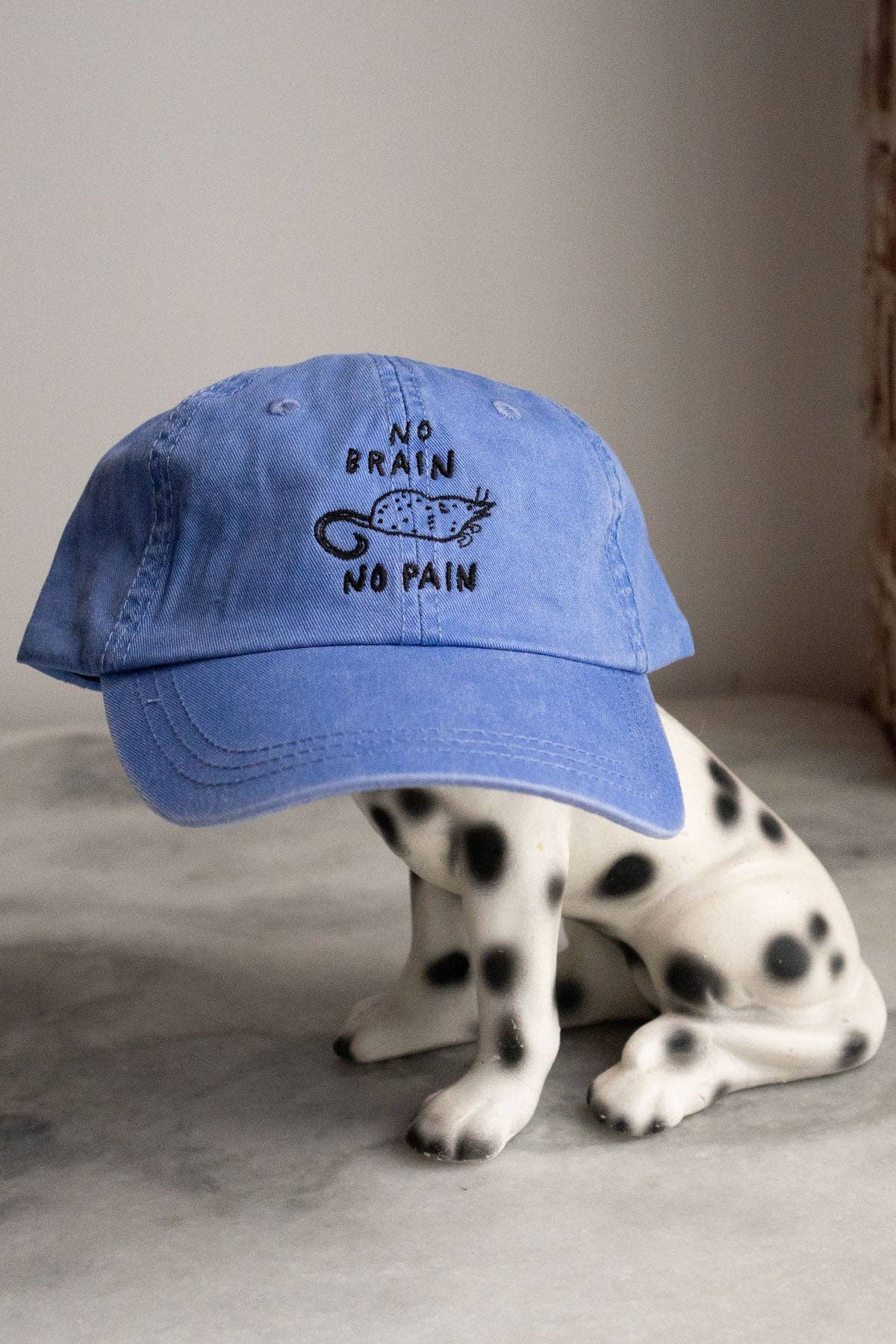 No Brain No Pain Hat