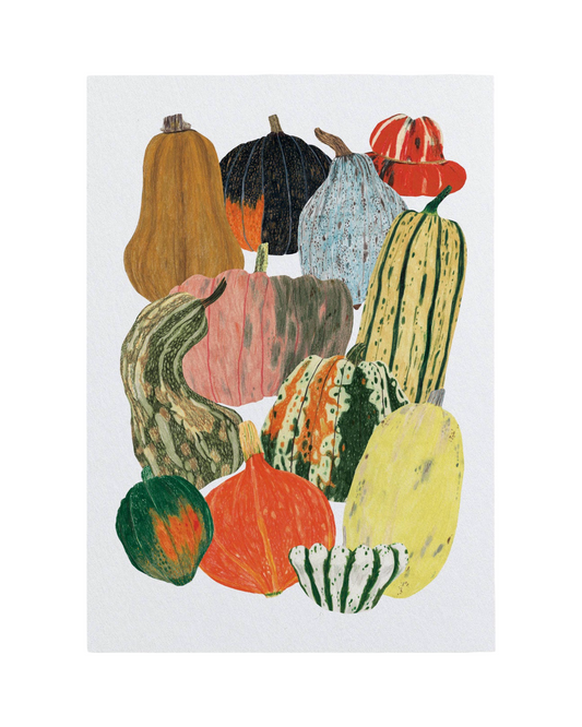 Pumpkin Squash A3 Print