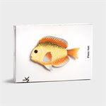 Rainbow Fish Plate
