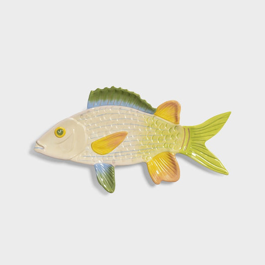 Trigger Fish Plate