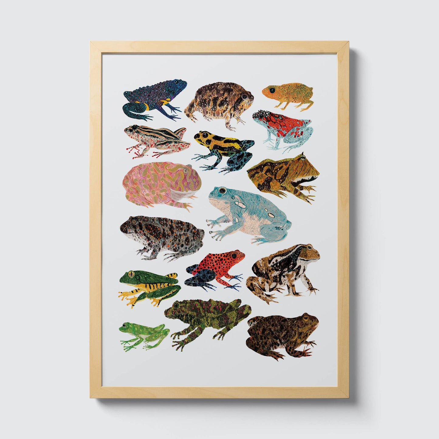 Frogs and Toads A3 Print