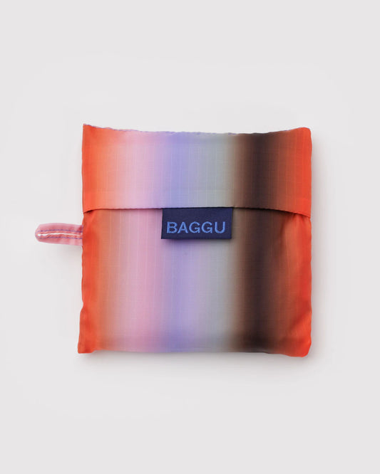 Standard Baggu : Gradient Stripe Poppy & Lilac