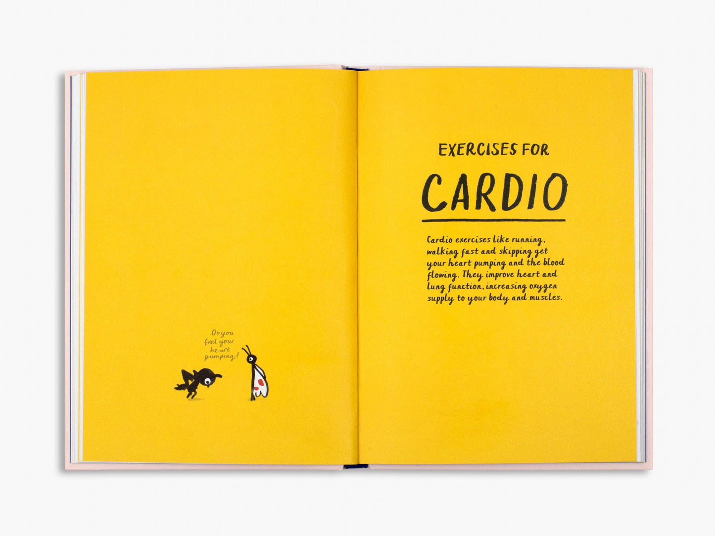 How to be a Fit Bird