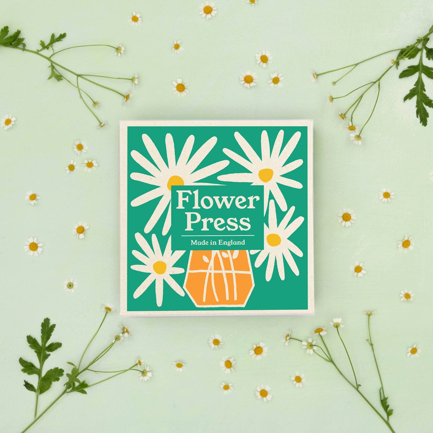 Flower Press / Daisy