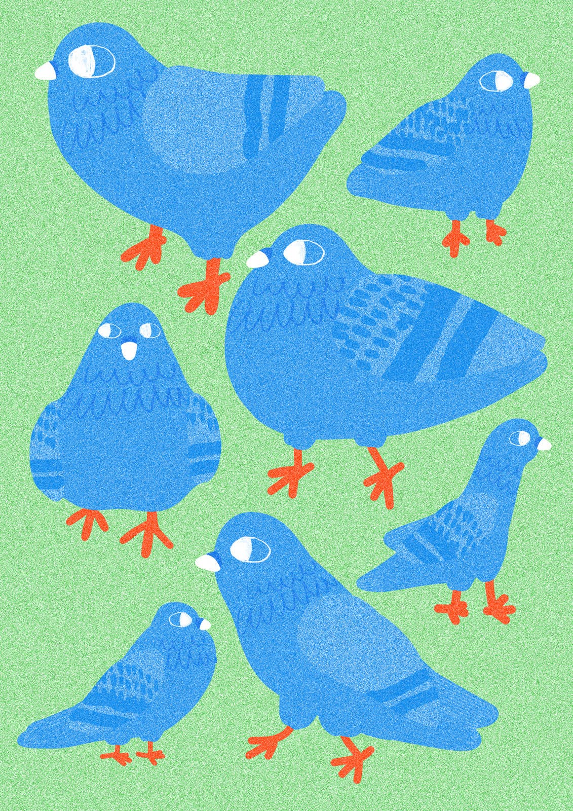 City Pigeons A3 Print