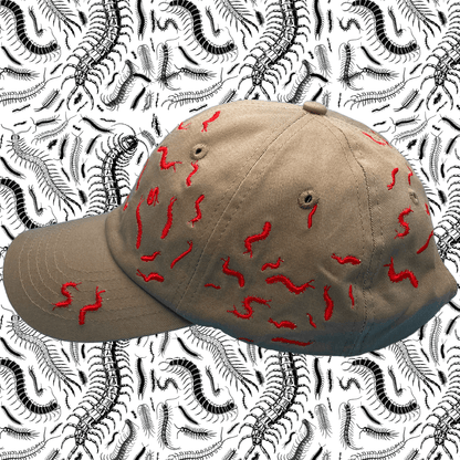 67 Centipedes Dad Hat