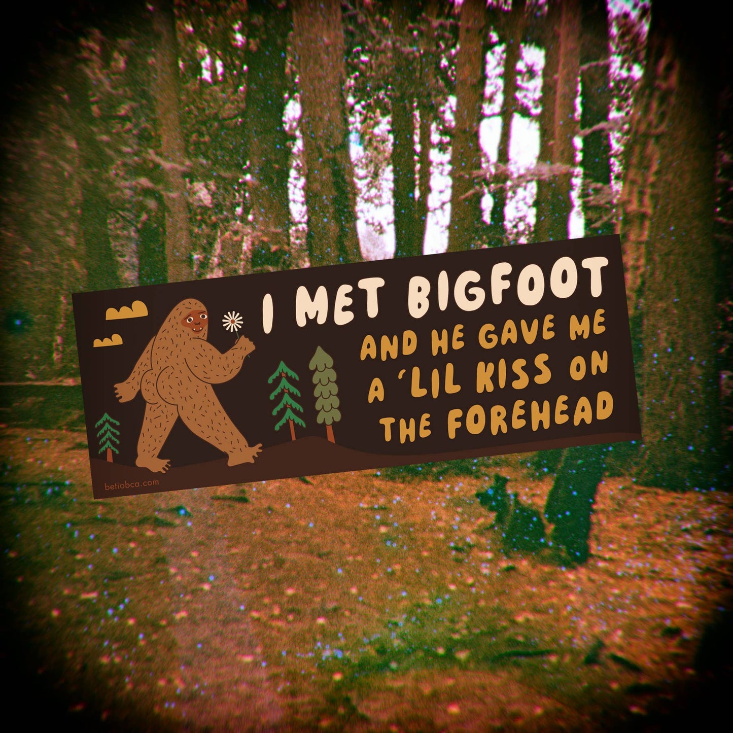 I Met Bigfoot Bumper Sticker