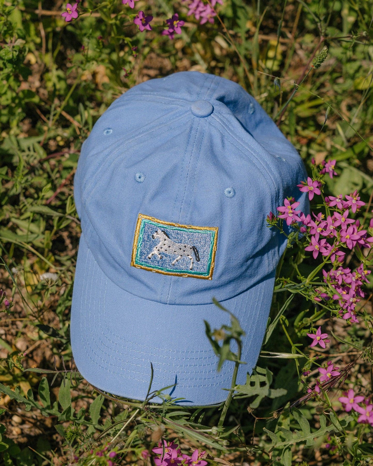 Little Horse Cap