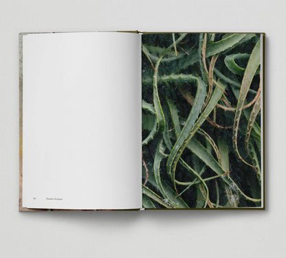 Botanical (Book 6: Tales from the City)