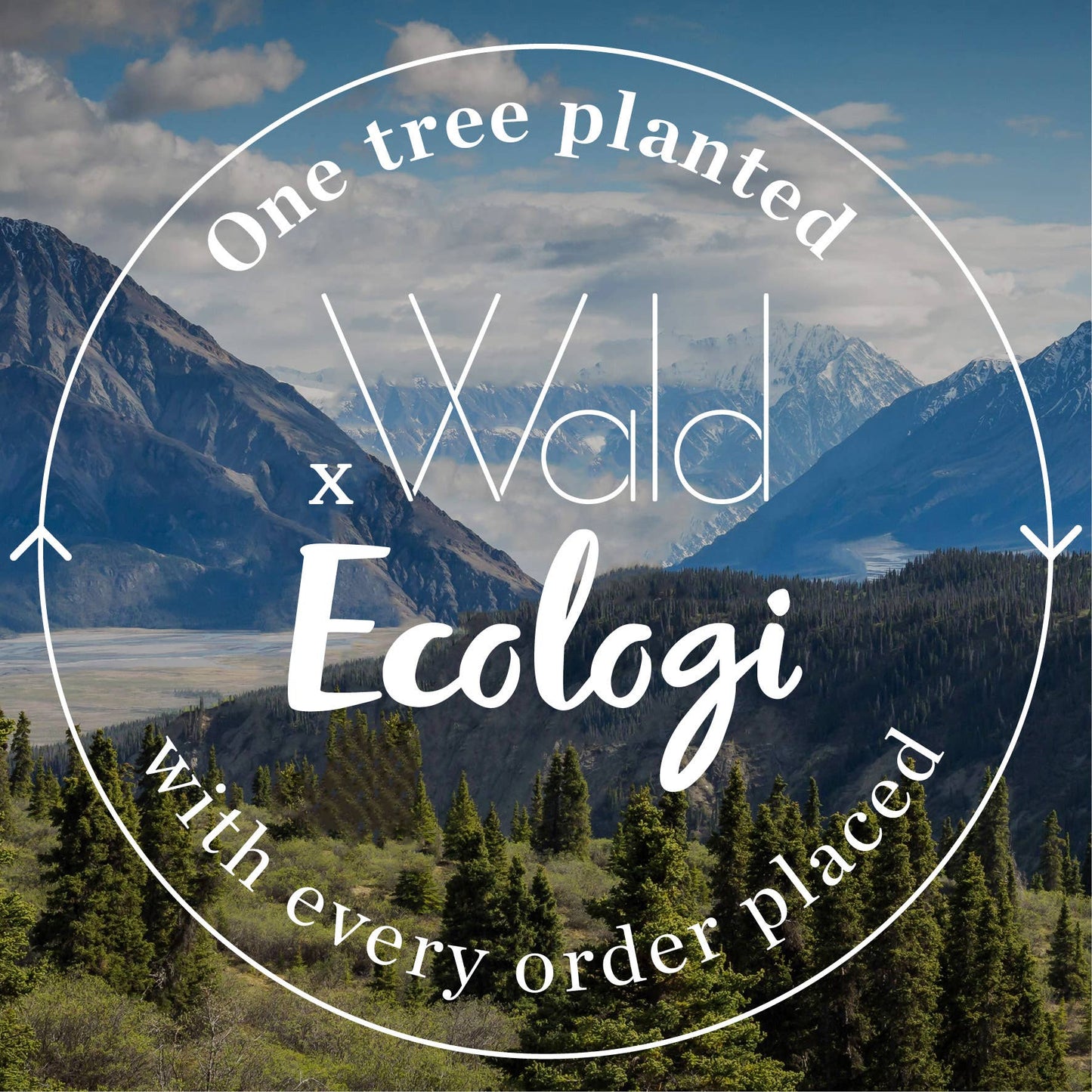 A5 Week Planner