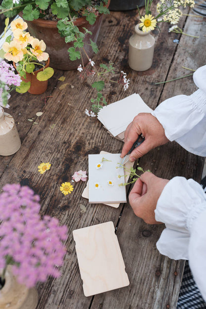 Pocket Flower Press / Forget Me Not