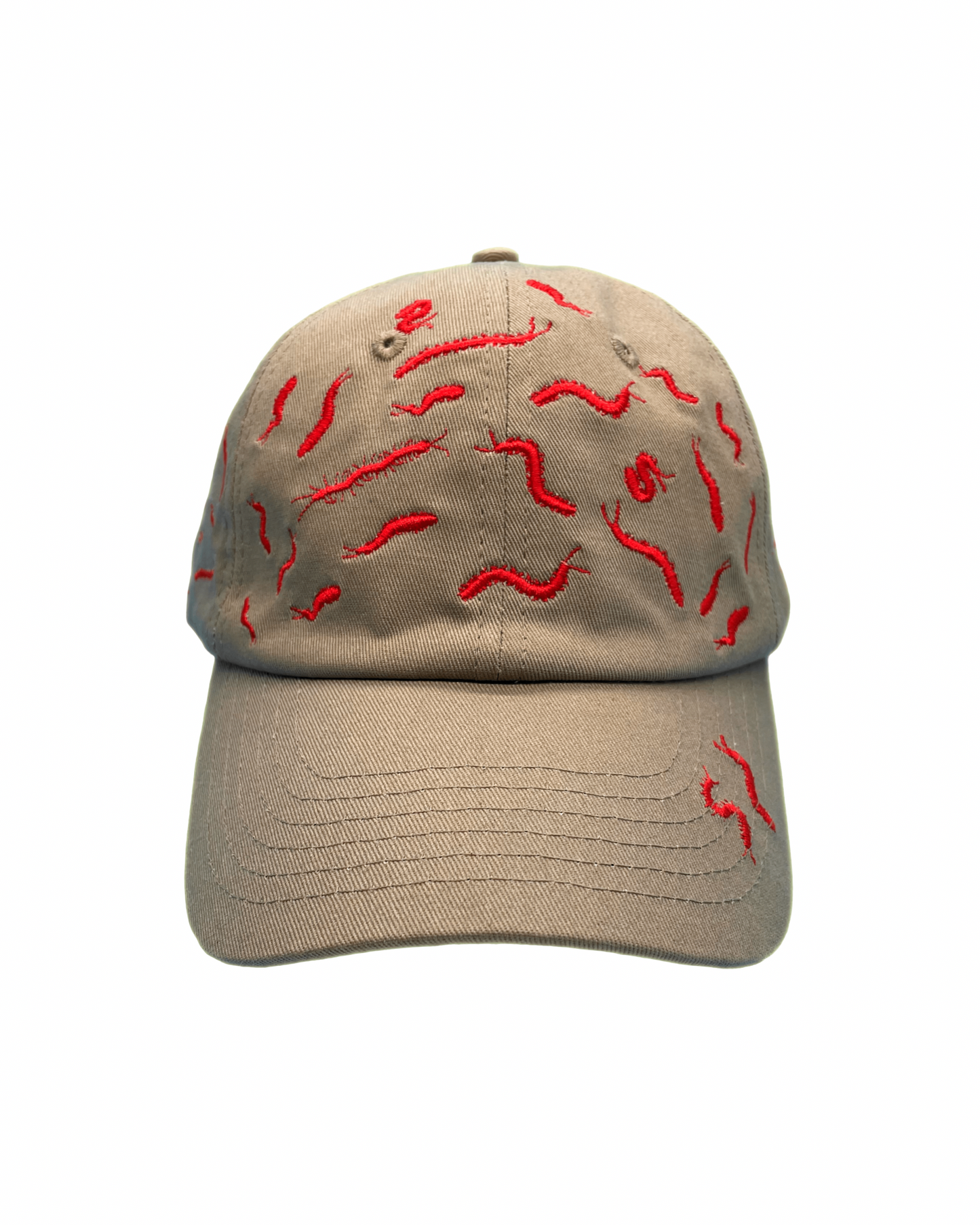 67 Centipedes Dad Hat