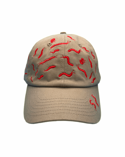 67 Centipedes Dad Hat