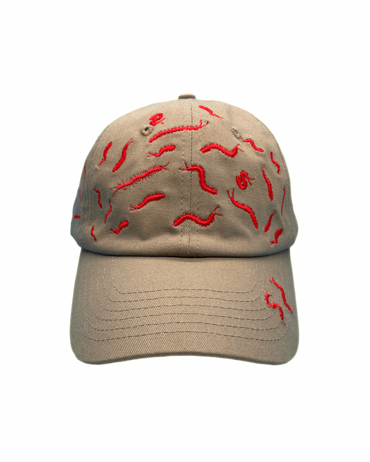 67 Centipedes Dad Hat