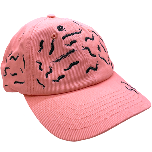 67 Centipedes Dad Hat - Pink