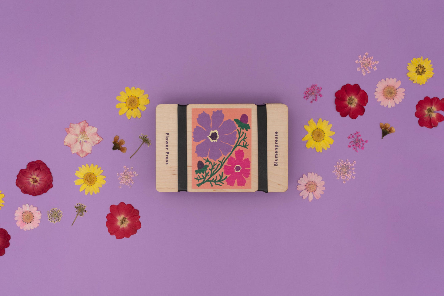 Pocket Flower Press / Cosmos