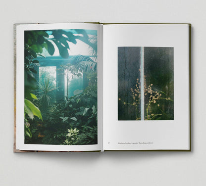 Botanical (Book 6: Tales from the City)