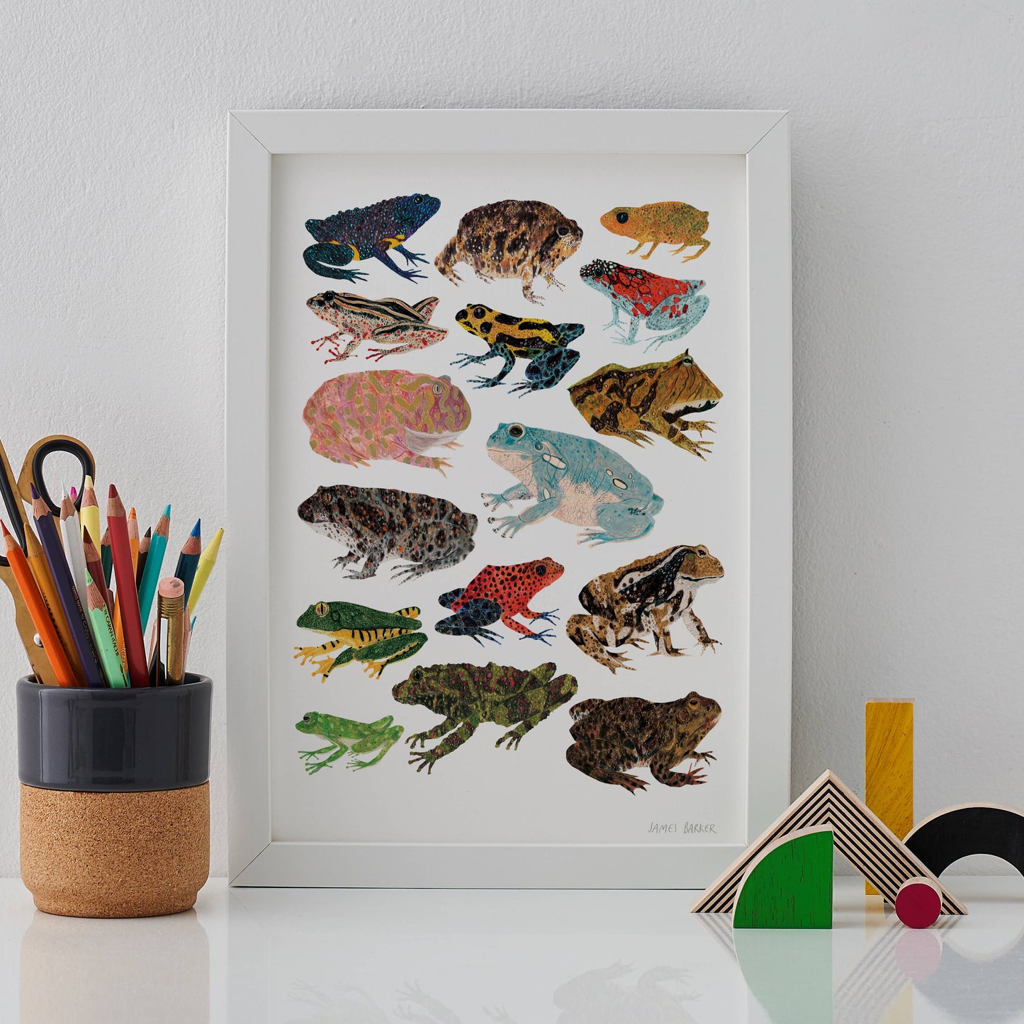 Frogs and Toads A3 Print