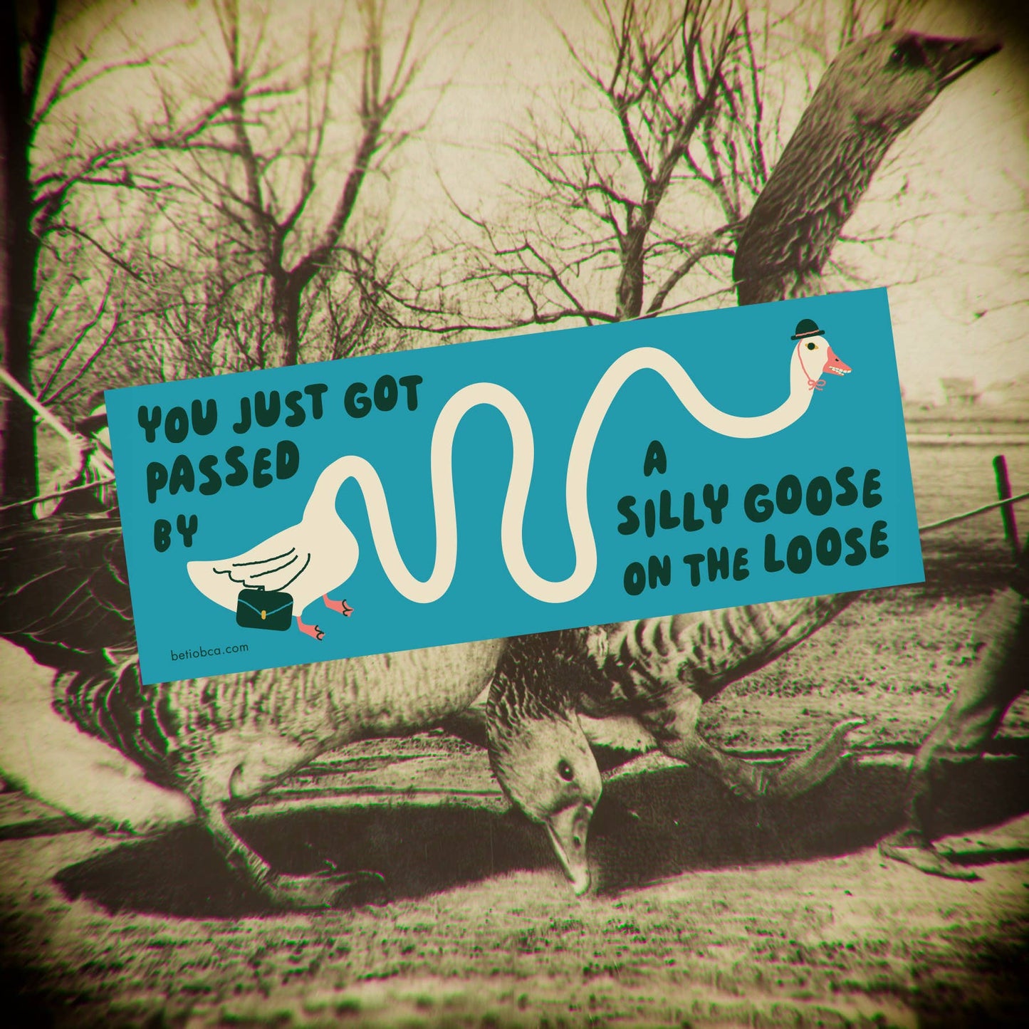 Silly Goose on the Loose Bumper Sticker