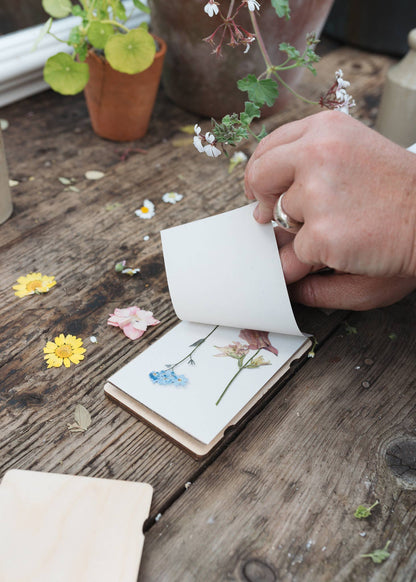 Pocket Flower Press / Cosmos