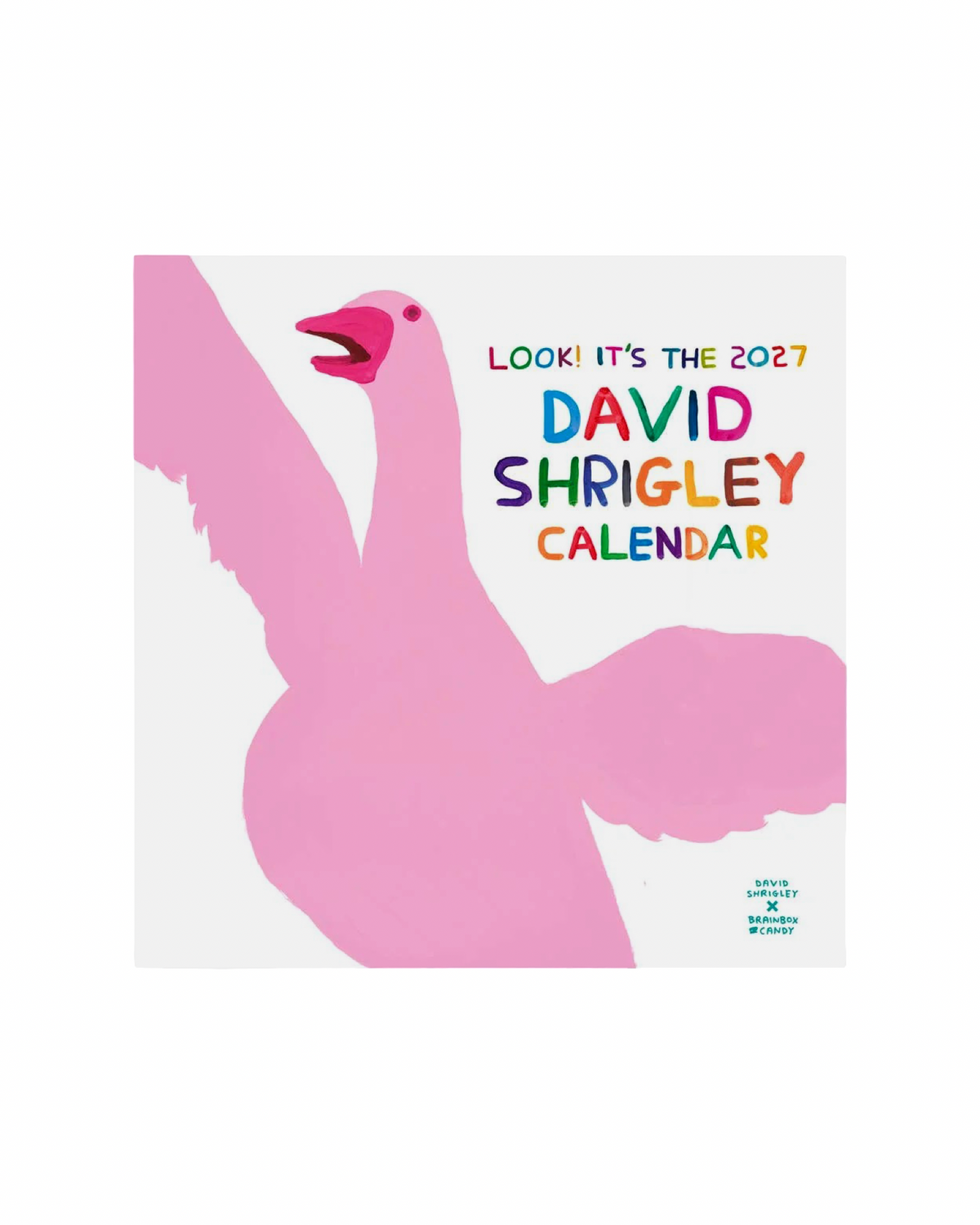 David Shrigley Official 2027 Wall Calendar