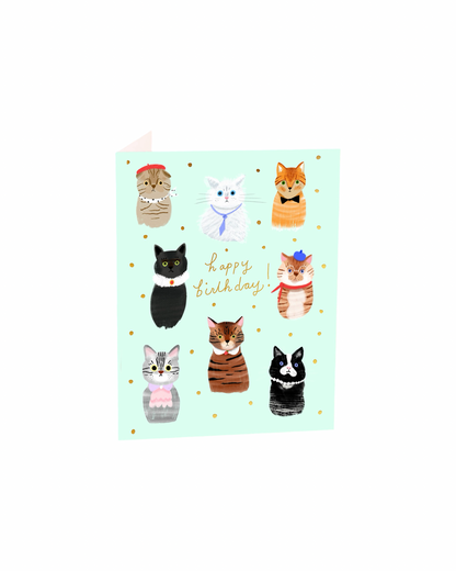 Party Cats Birthday Card
