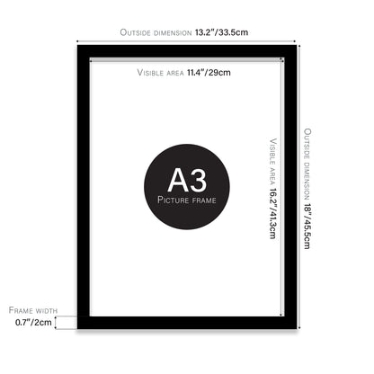 A3 Picture Frames